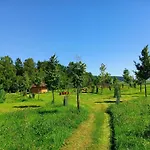 Treehous Sněžník S Wellness * Dolní Morava