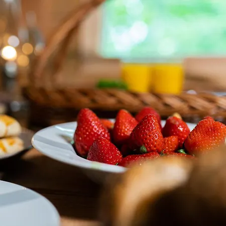 Luxury tent Treehous Sneznik S Wellness Dolni Morava