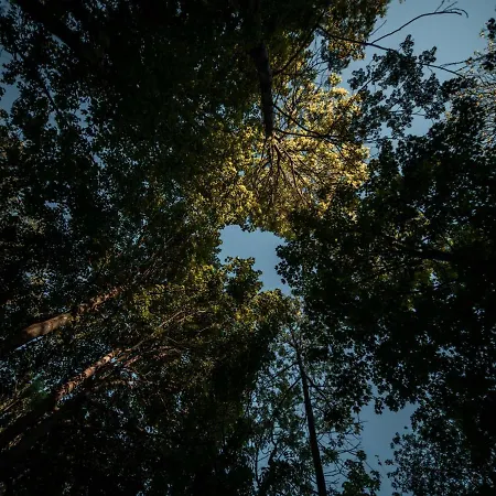 Luxuszelt Treehous Sneznik S Wellness Dolní Morava