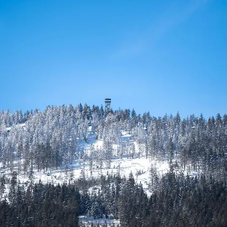 Treehous Sneznik S Wellness Dolní Morava
