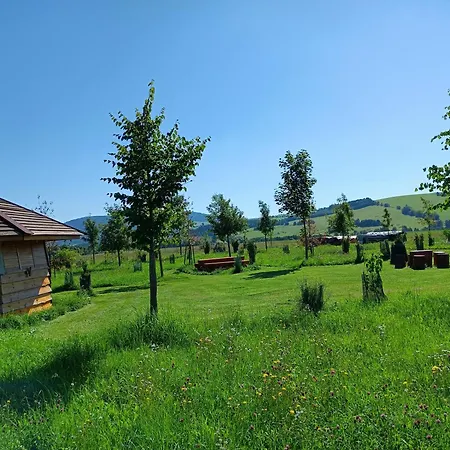 Glamping Treehous Sneznik S Wellness *