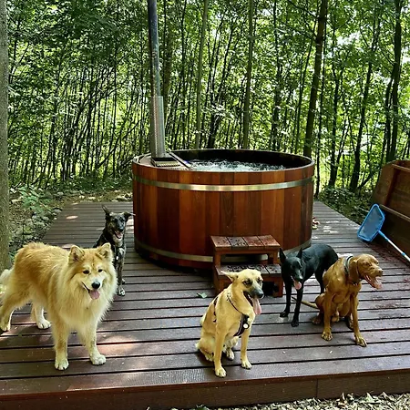 Treehous Sněžník S Wellness Campismo de Luxo