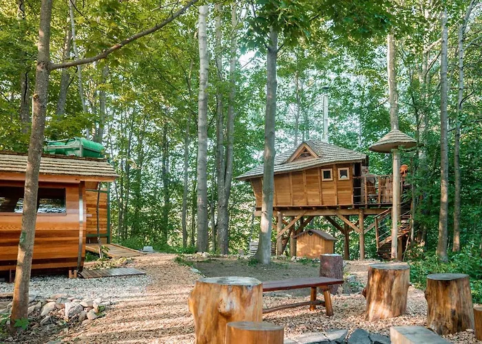 Treehous Sneznik S Wellness Dolní Morava