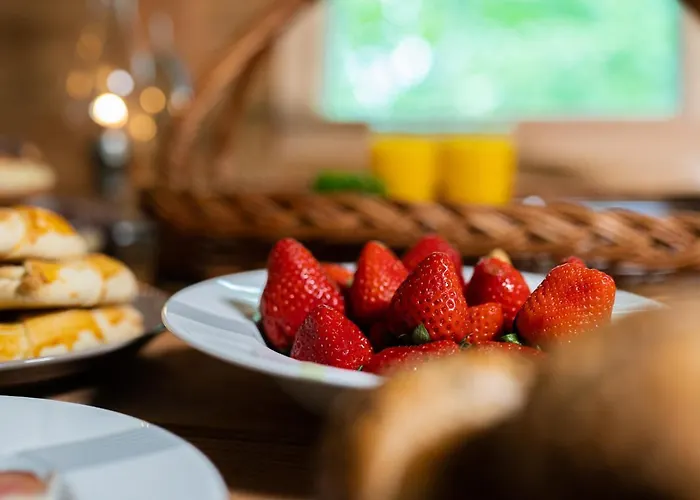 Οργανωμένο κάμπινγκ Treehous Sneznik S Wellness Dolní Morava