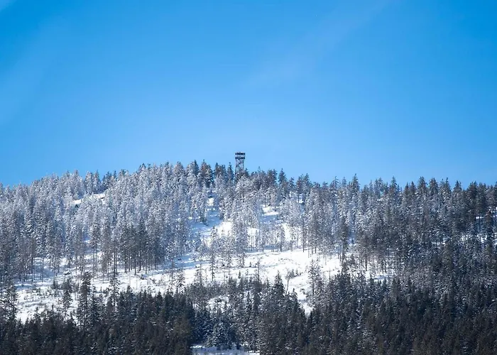 Treehous Sneznik S Wellness Dolní Morava
