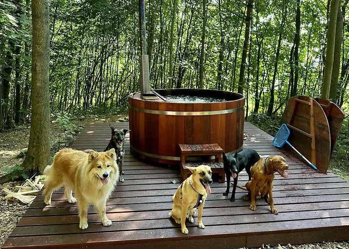 Treehous Sneznik S Wellness Οργανωμένο κάμπινγκ